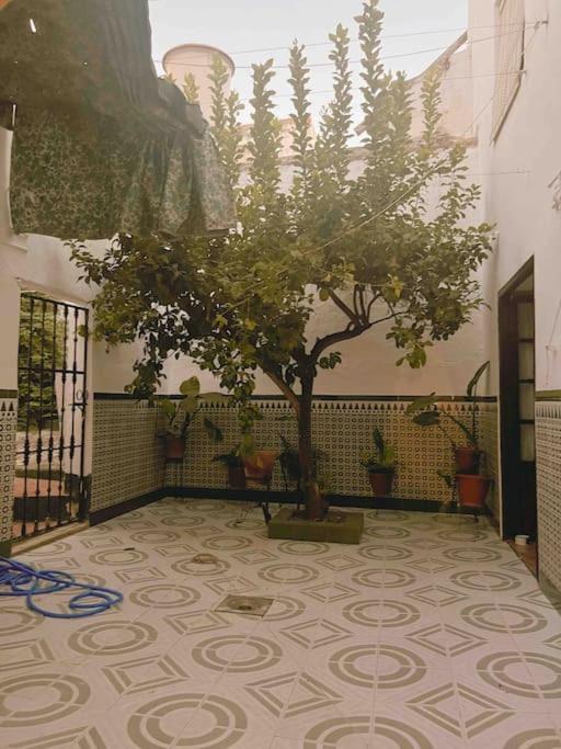 Вилла La Casa De Manolita Баэна Экстерьер фото